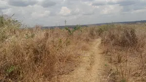 Shamba La Ekari 10 Linauzwa Kiwangwa Msinune