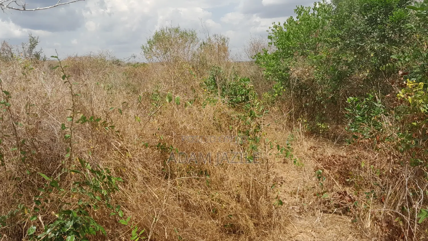 Shamba La Ekari 10 Linauzwa Kiwangwa Msinune
