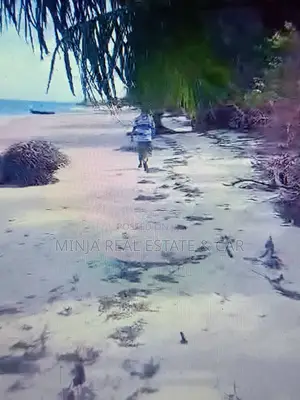 1.5 Acre Beach Plot for Sale Kitoni Mafia