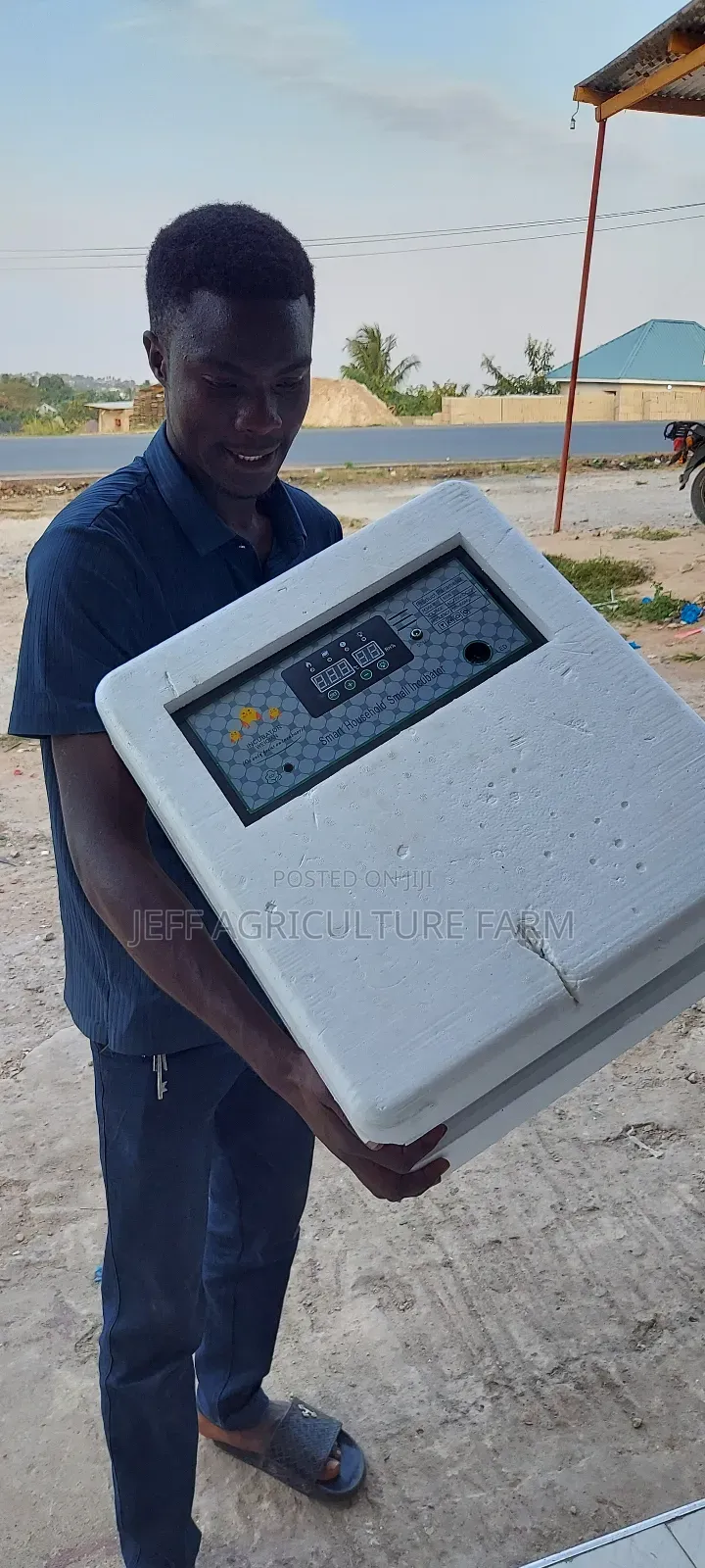 Incubator Mayai 120 Available