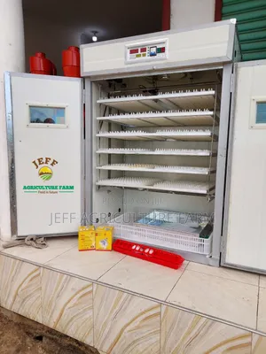 1056 New Automatic Incubator