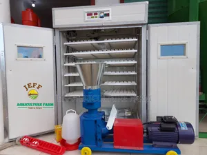 1056 New Automatic Incubator