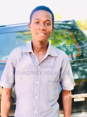 Mathematics and Physics Teacher for O-Level and a-Level