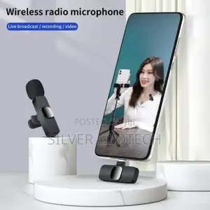 Two Wileress Microphone