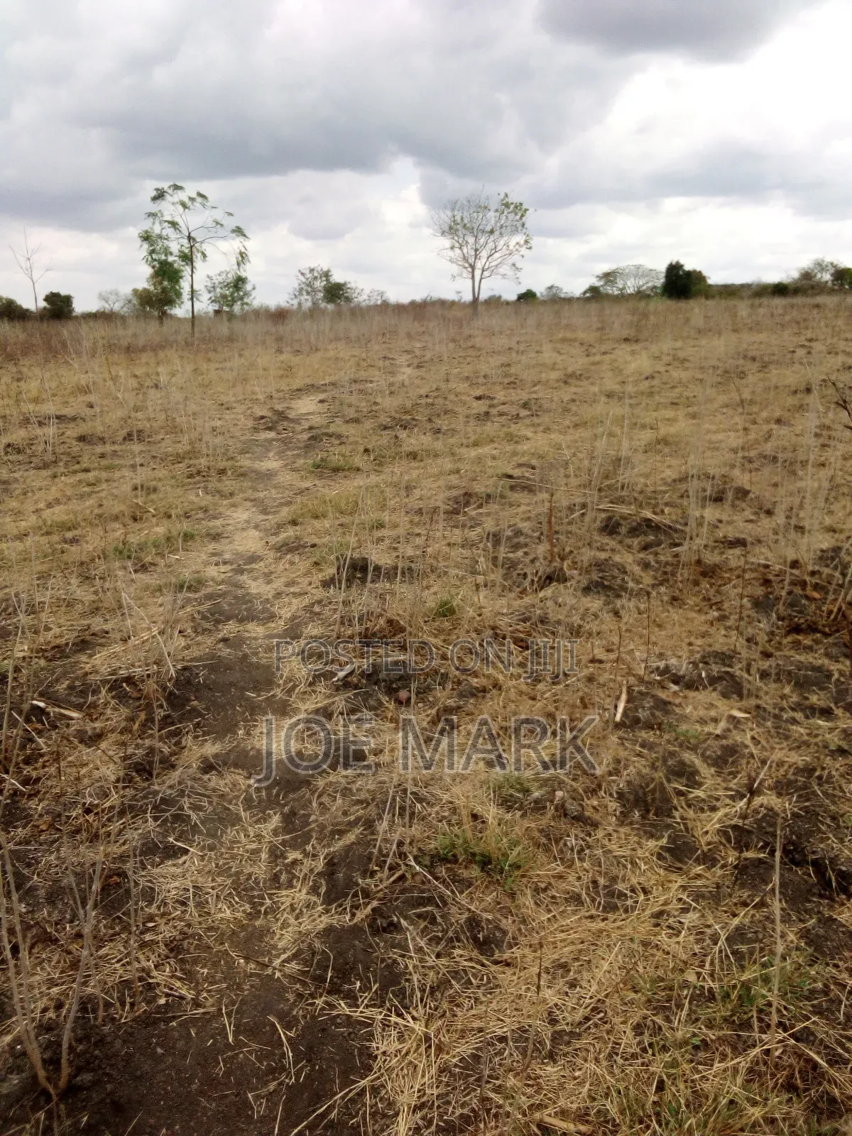 Shamba Linauzwa Pingo Chalinze