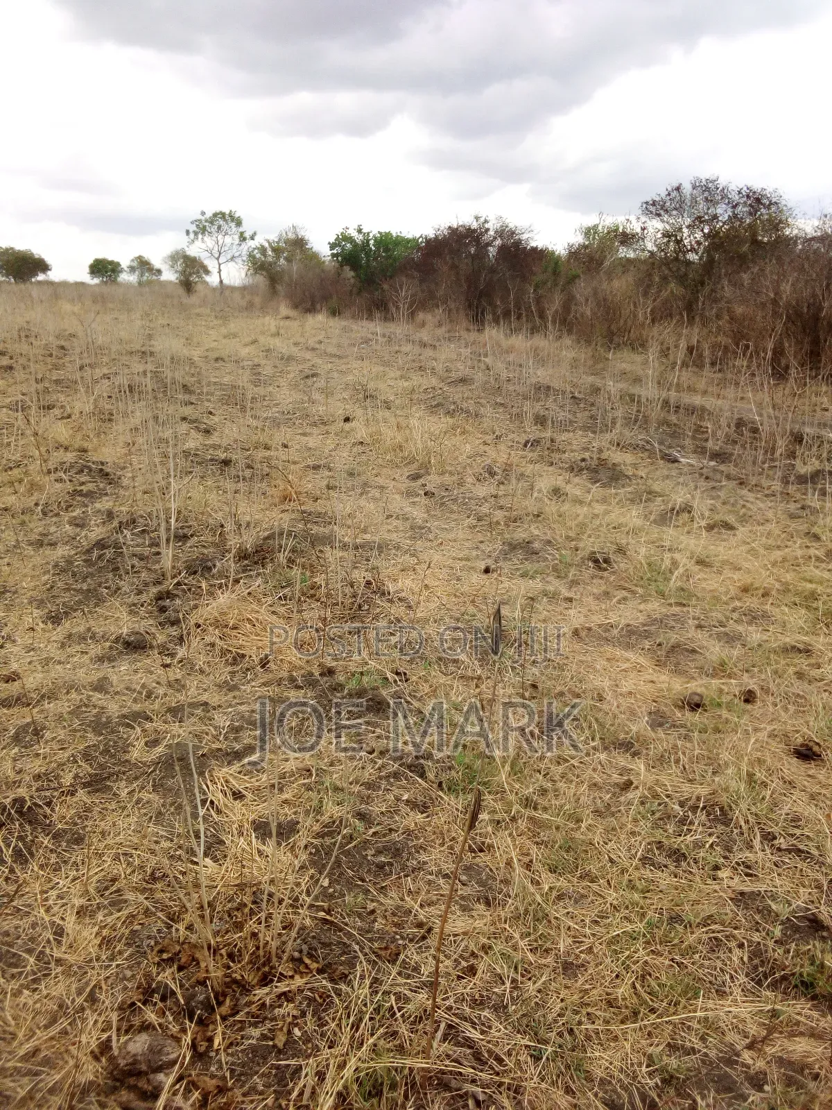 Shamba Linauzwa Pingo Chalinze