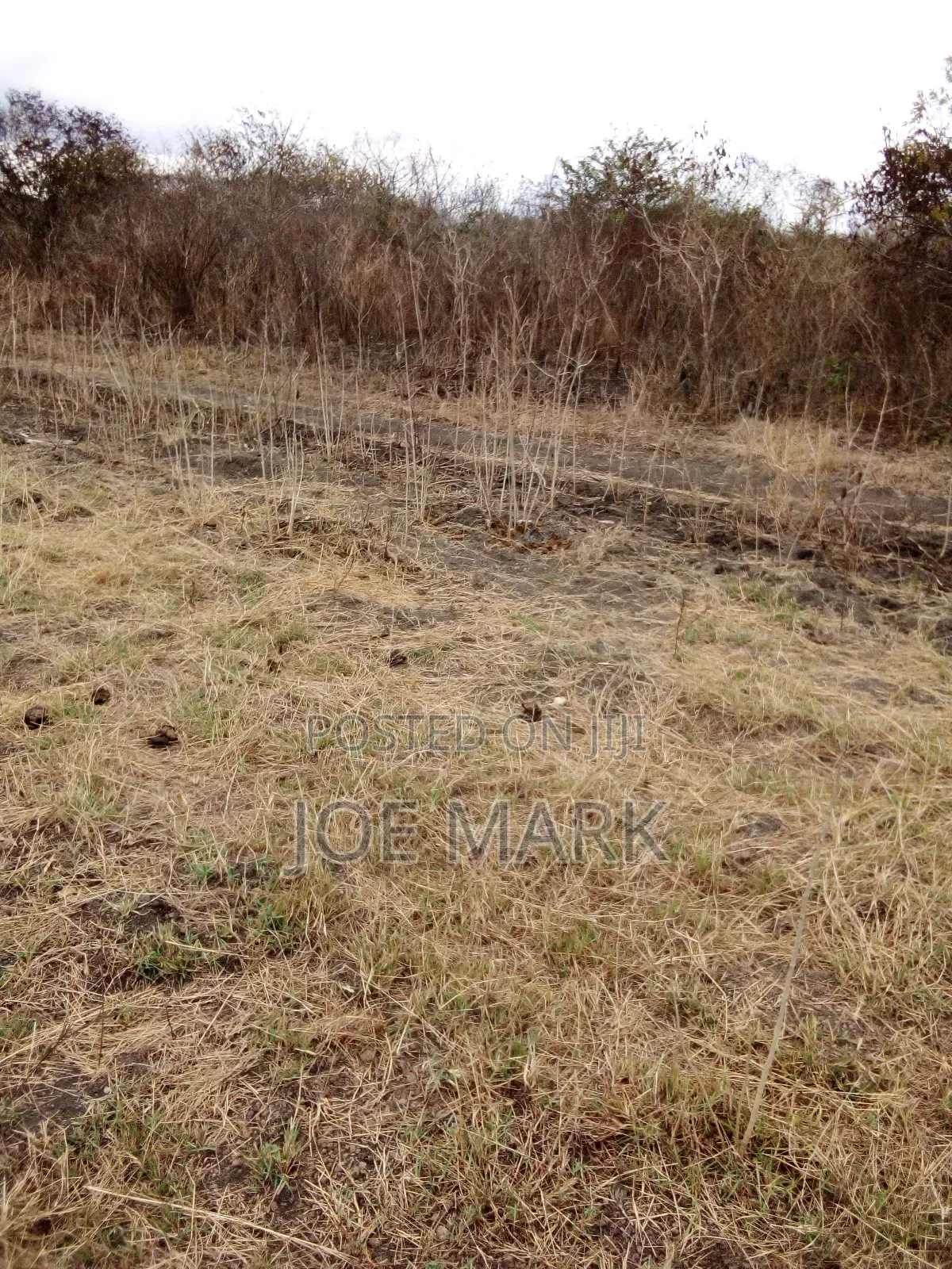Shamba Linauzwa Pingo Chalinze