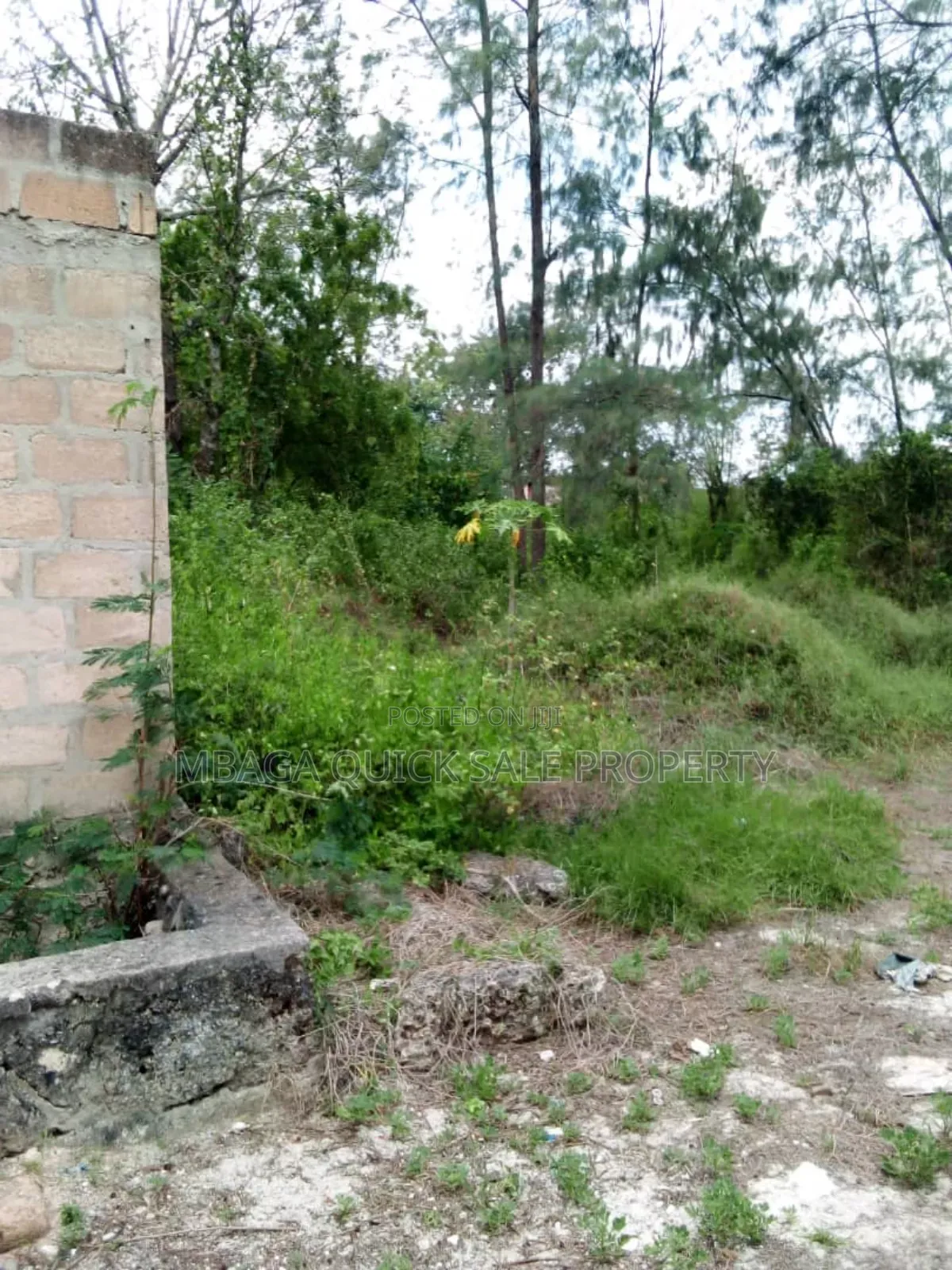 Beach Plot for Sale at Zanzibar Kendwa