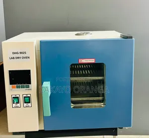 Lab Dry Oven