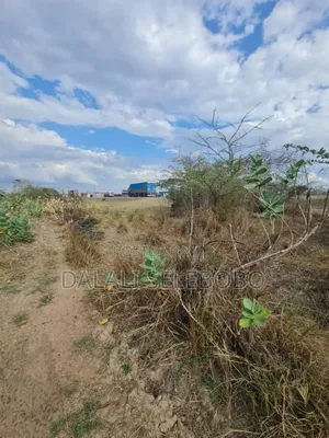 Plot at Vigwaza for Investment Industry