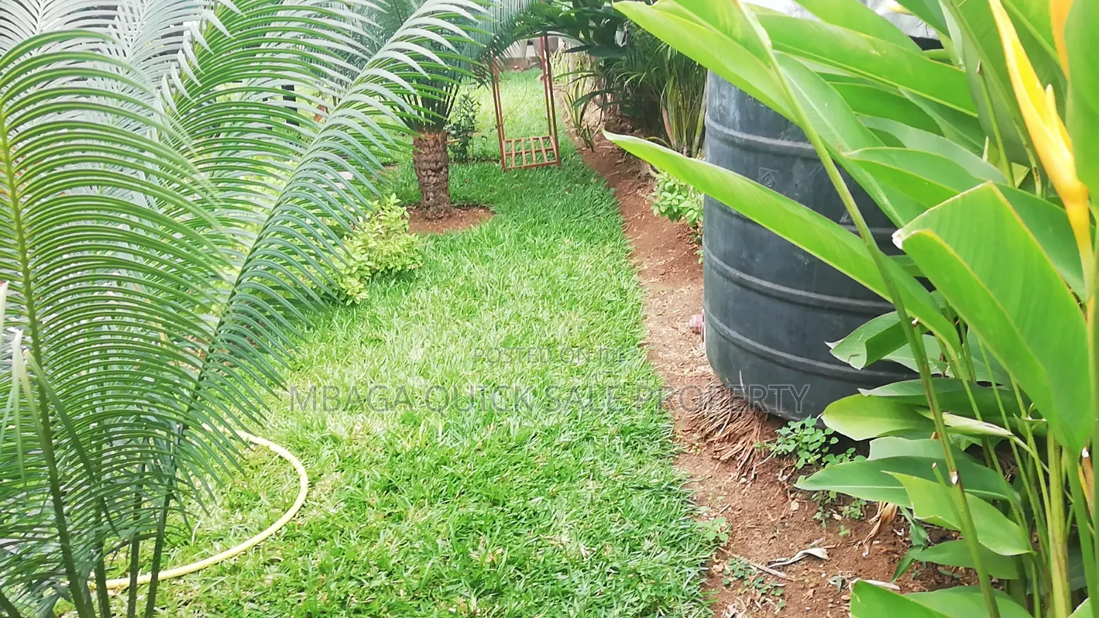 3bdrm Apartment in Mikocheni Kwa for rent