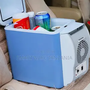 Portable Car Cooler Mini Fridge Electric Car Cooler Warmer