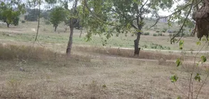 Viwanja Vinauzwa Ndani Ya Heka 16 Madale