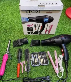 Etceo Professional Hair Dryer