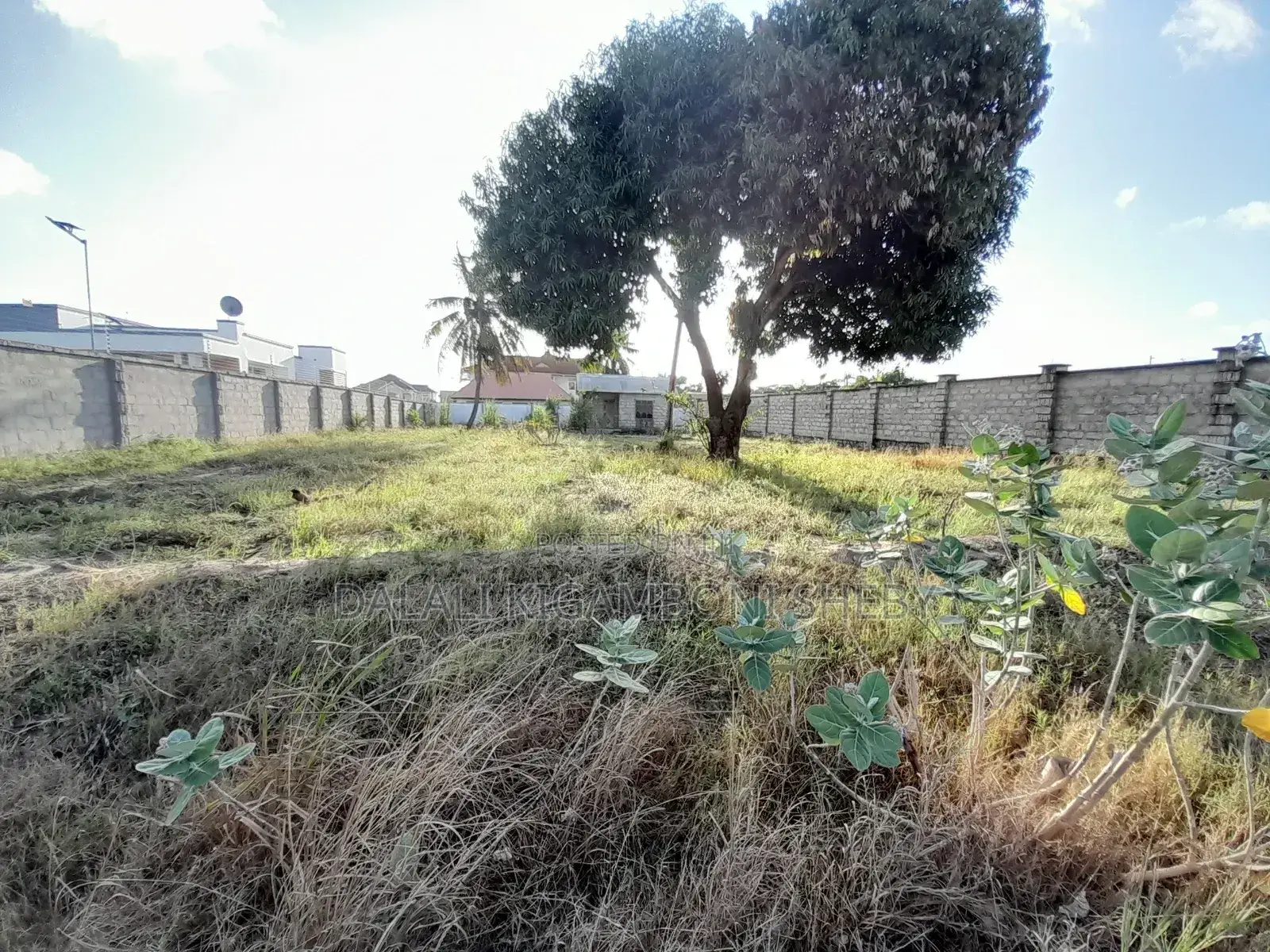Kigamboni Geza Ulole