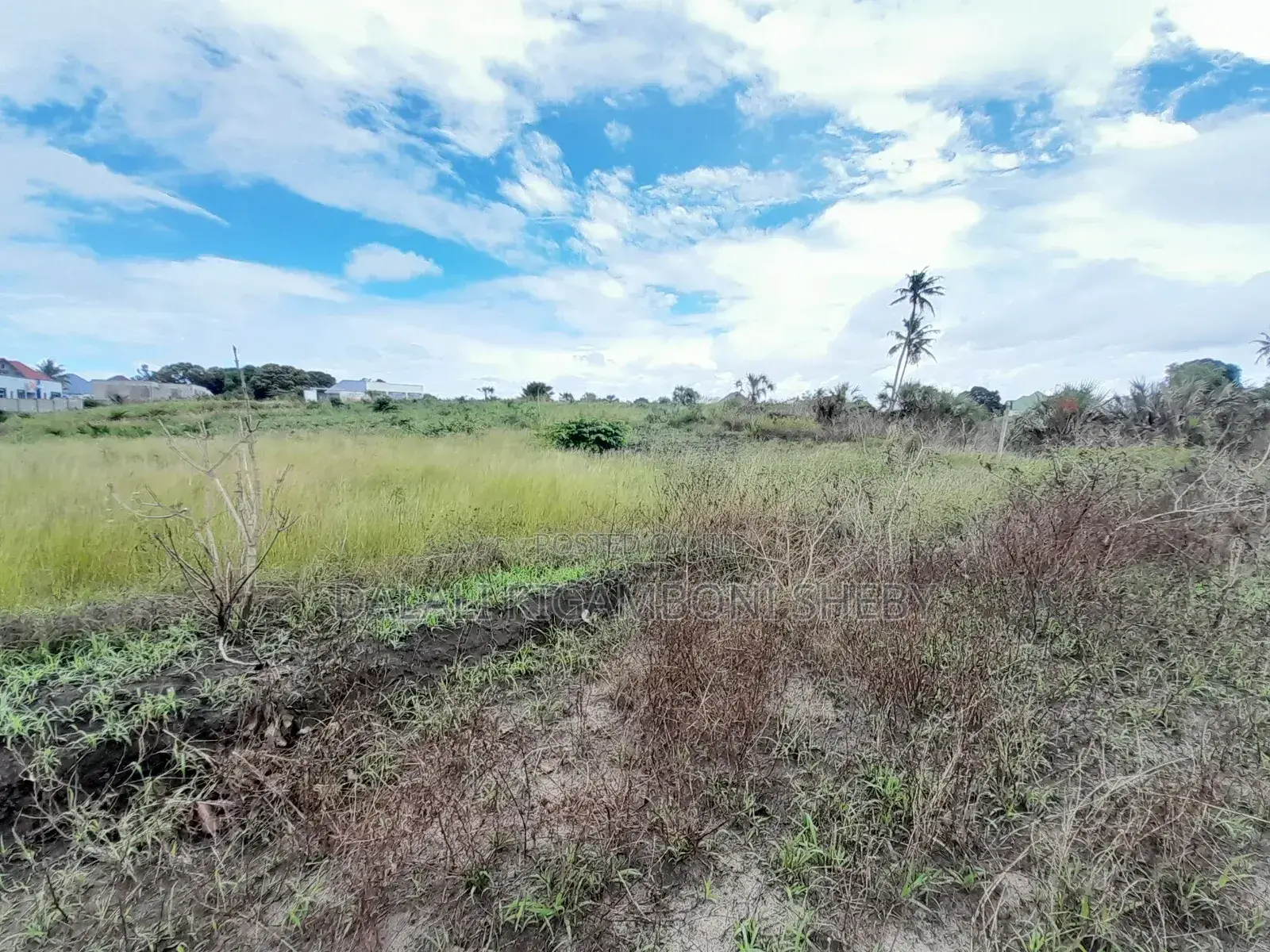 Kigamboni Kibada