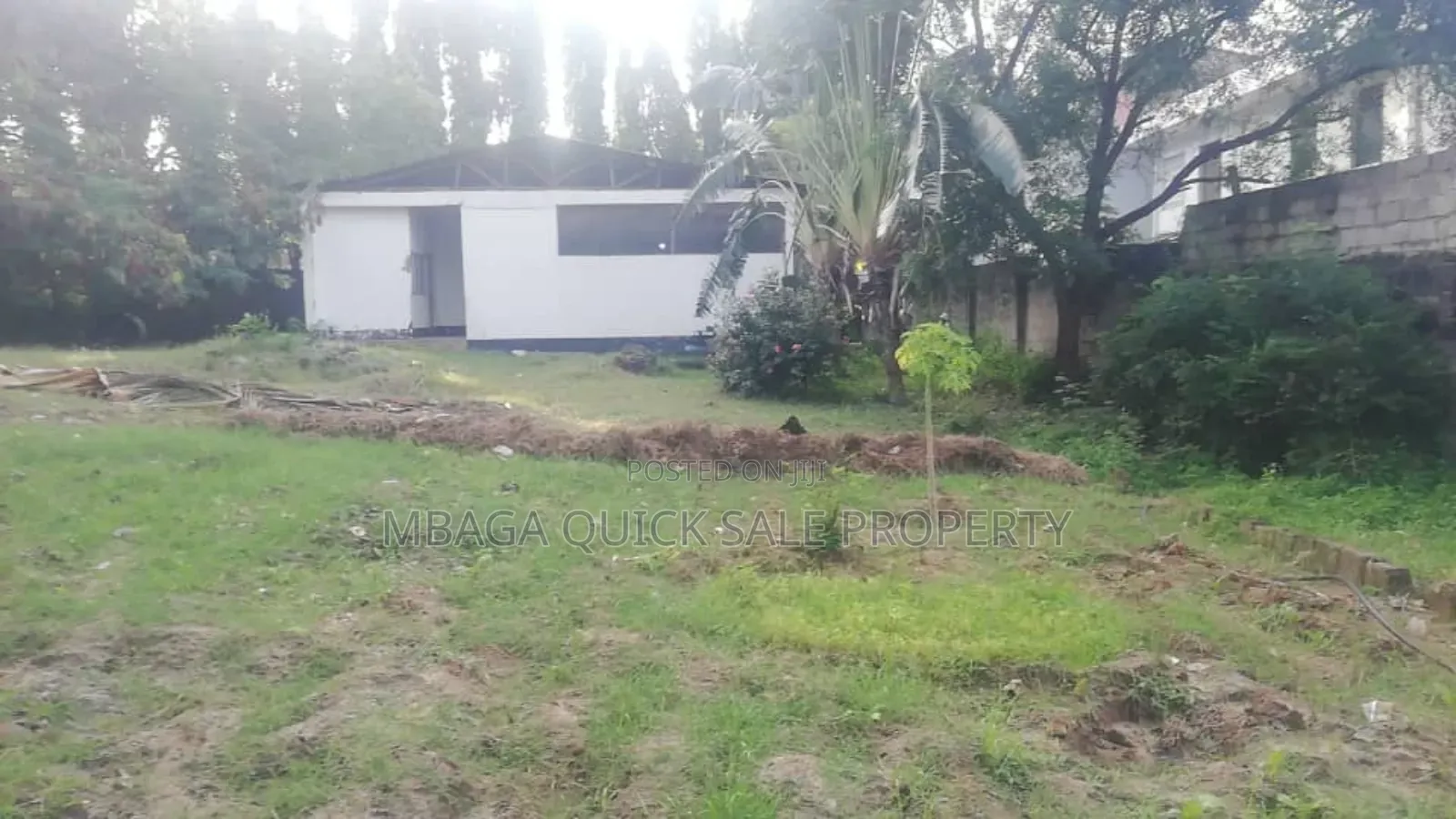 Godown With Big Yard for Rent at Mikocheni