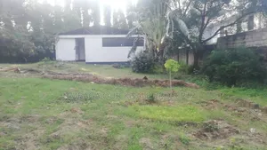 Godown With Big Yard for Rent at Mikocheni