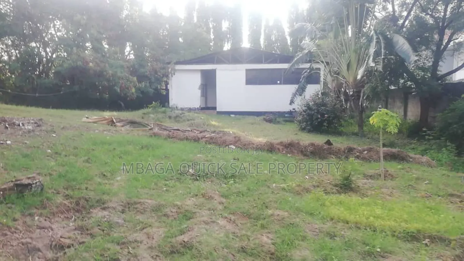 Godown With Big Yard for Rent at Mikocheni