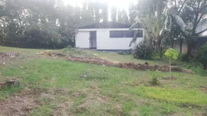Godown With Big Yard for Rent at Mikocheni