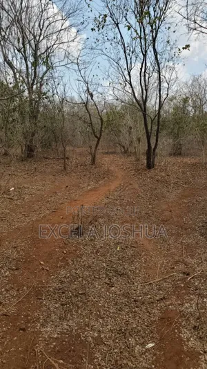 A 150 Acres Farm With Water Resource for Sell in Bagamoyo