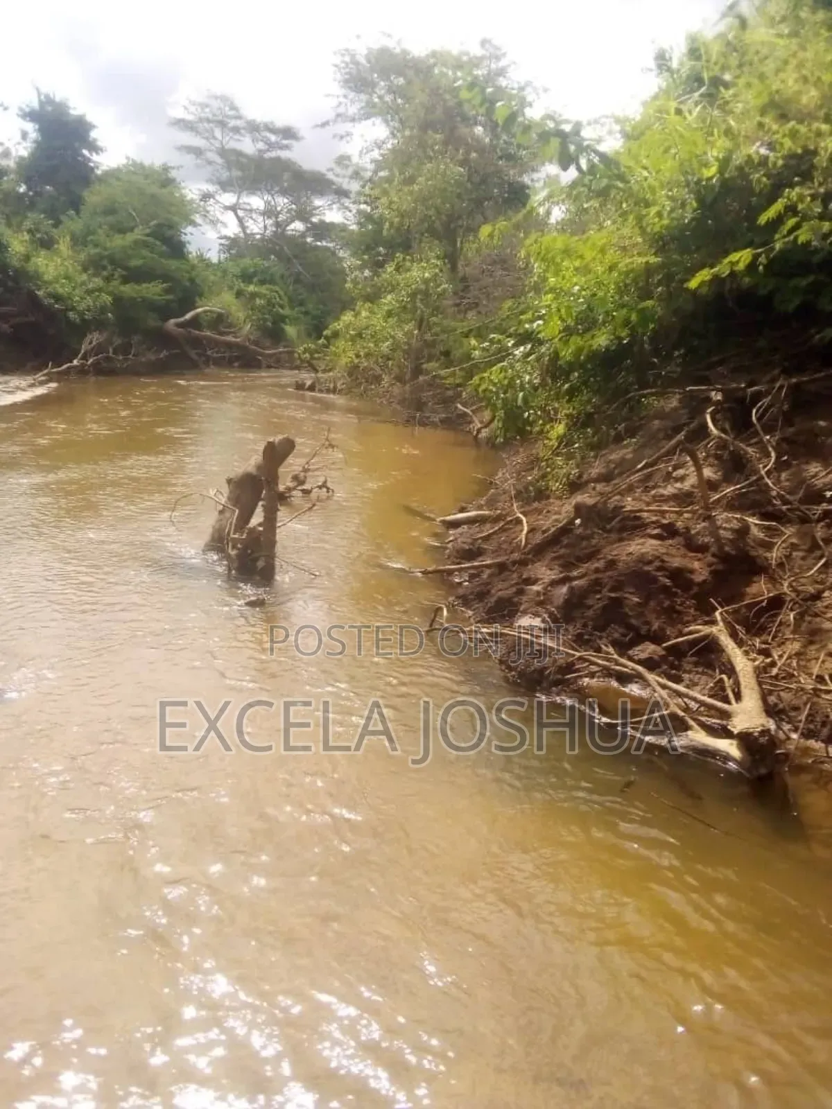 A 150 Acres Farm With Water Resource for Sell in Bagamoyo