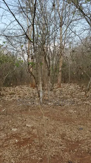 A 150 Acres Farm With Water Resource for Sell in Bagamoyo