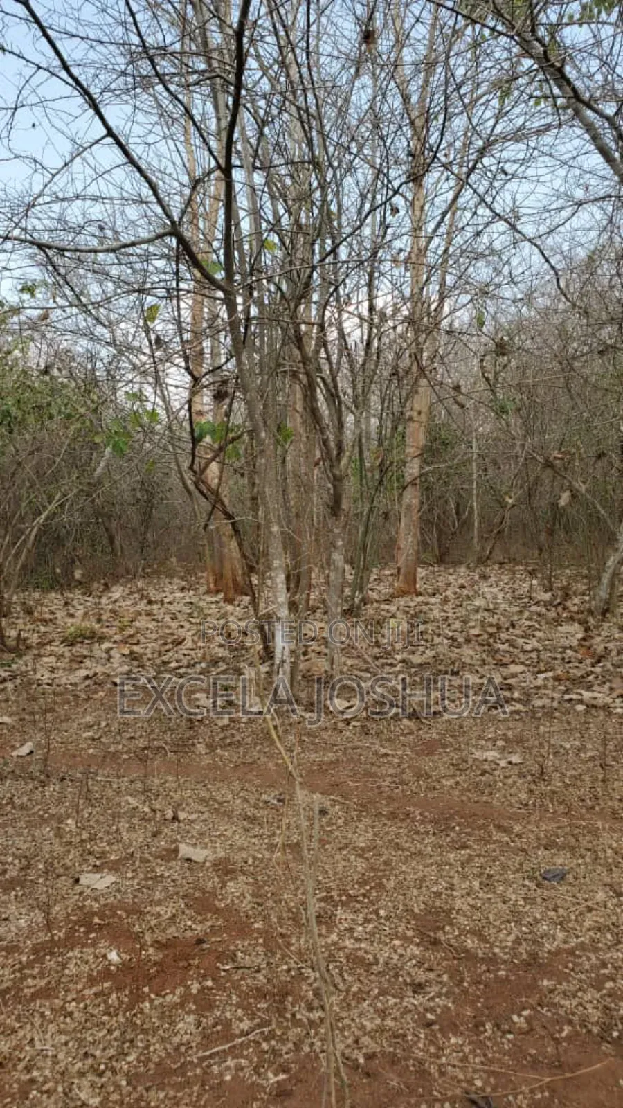 A 150 Acres Farm With Water Resource for Sell in Bagamoyo