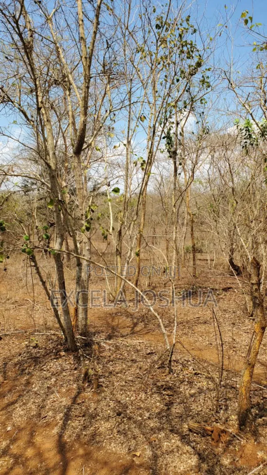 A 150 Acres Farm With Water Resource for Sell in Bagamoyo