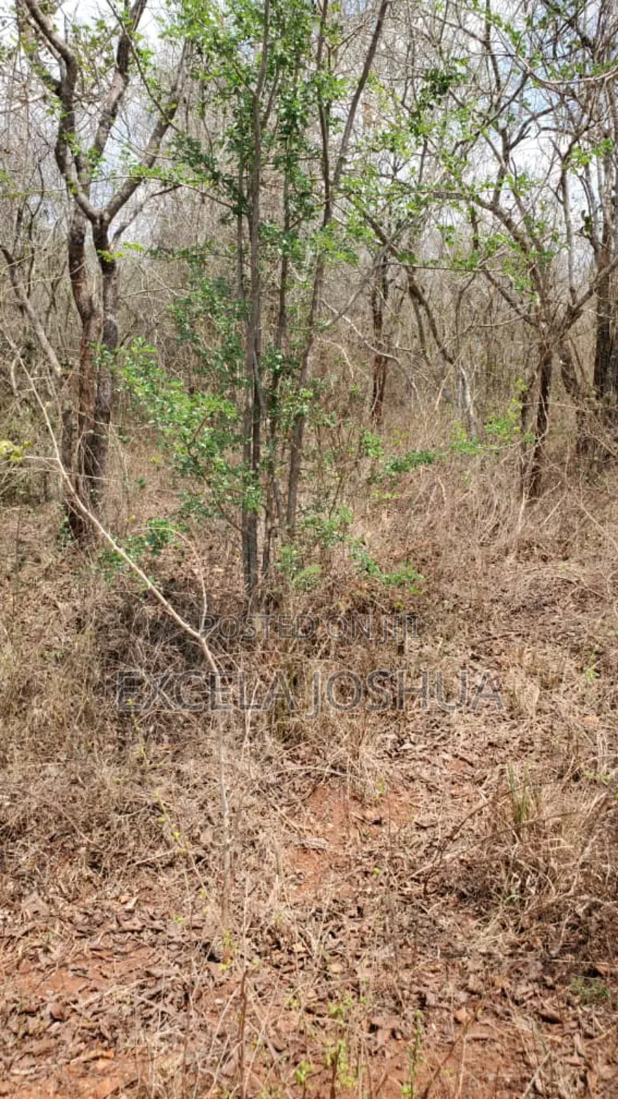 A 150 Acres Farm With Water Resource for Sell in Bagamoyo