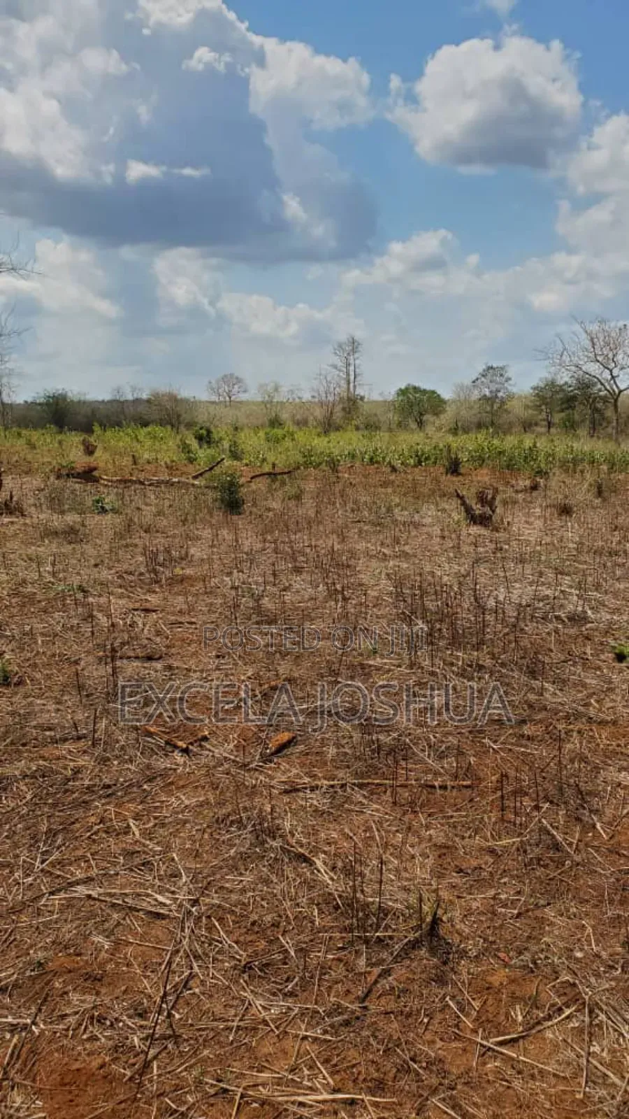 A 150 Acres Farm With Water Resource for Sell in Bagamoyo