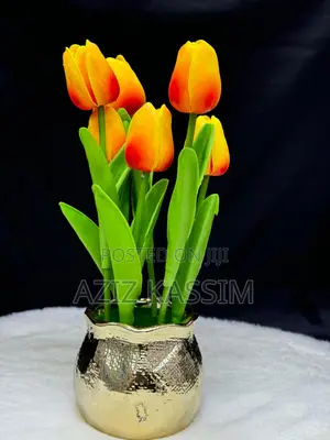 Ua Na Vase Yake