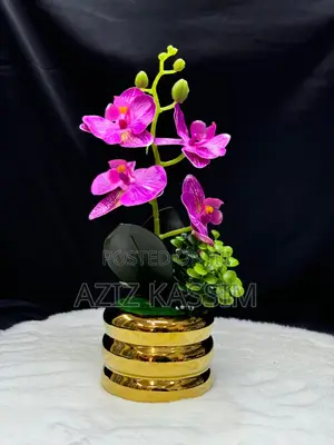 Ua Na Vase Yake
