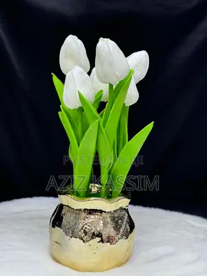 Ua Na Vase Yake