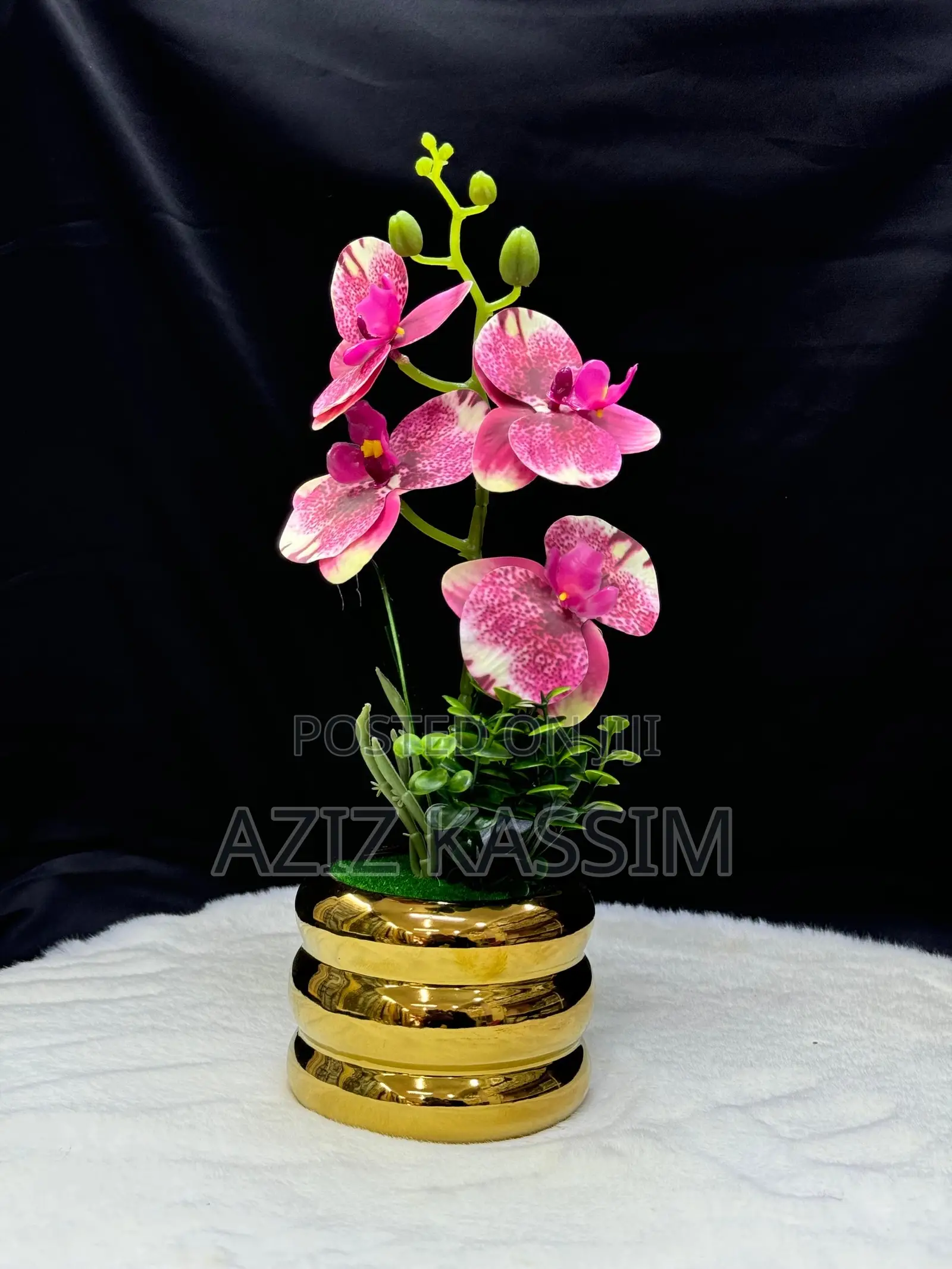 Ua Na Vase Yake
