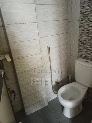 3bdrm Apartment in Kariakoo for rent