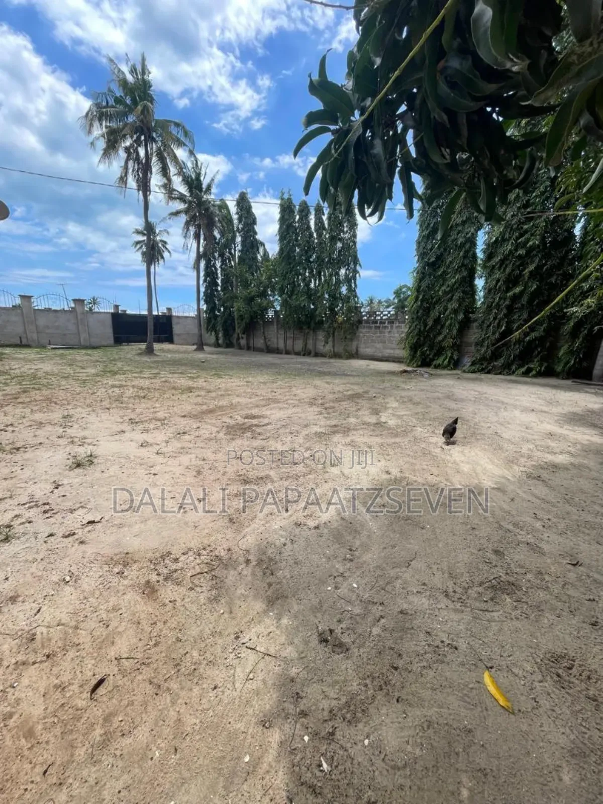 1bdrm Apartment in Dalalipapaatzseven, Kinondoni for rent