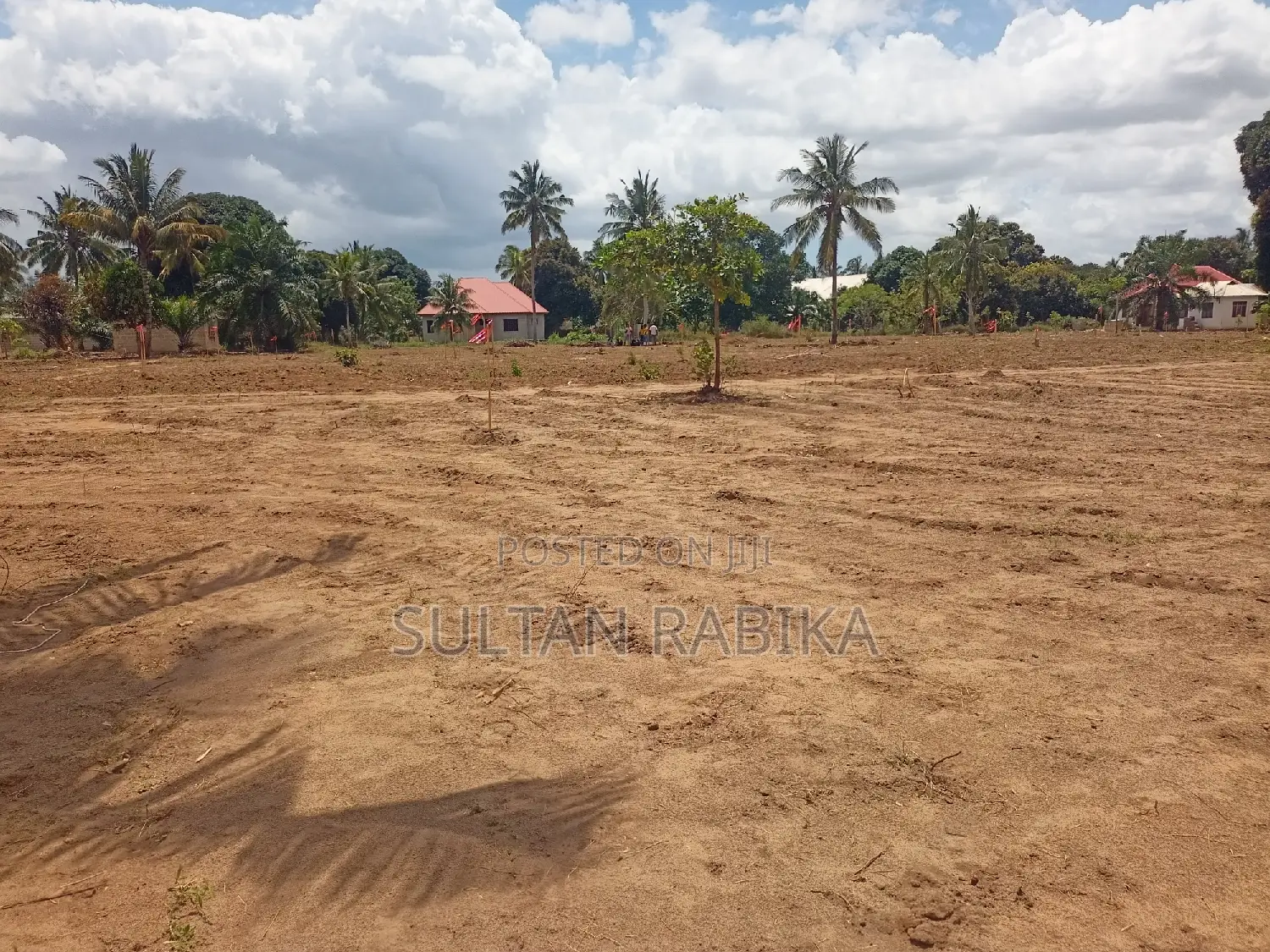 Ofa Viwanja Vinauzwa Chanika Nguvu Kazi Milioni 4, 2