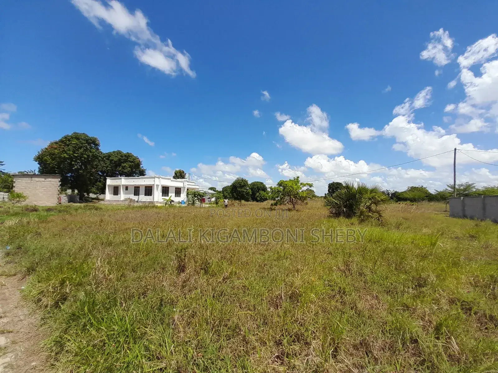 Kigamboni Mwongozo