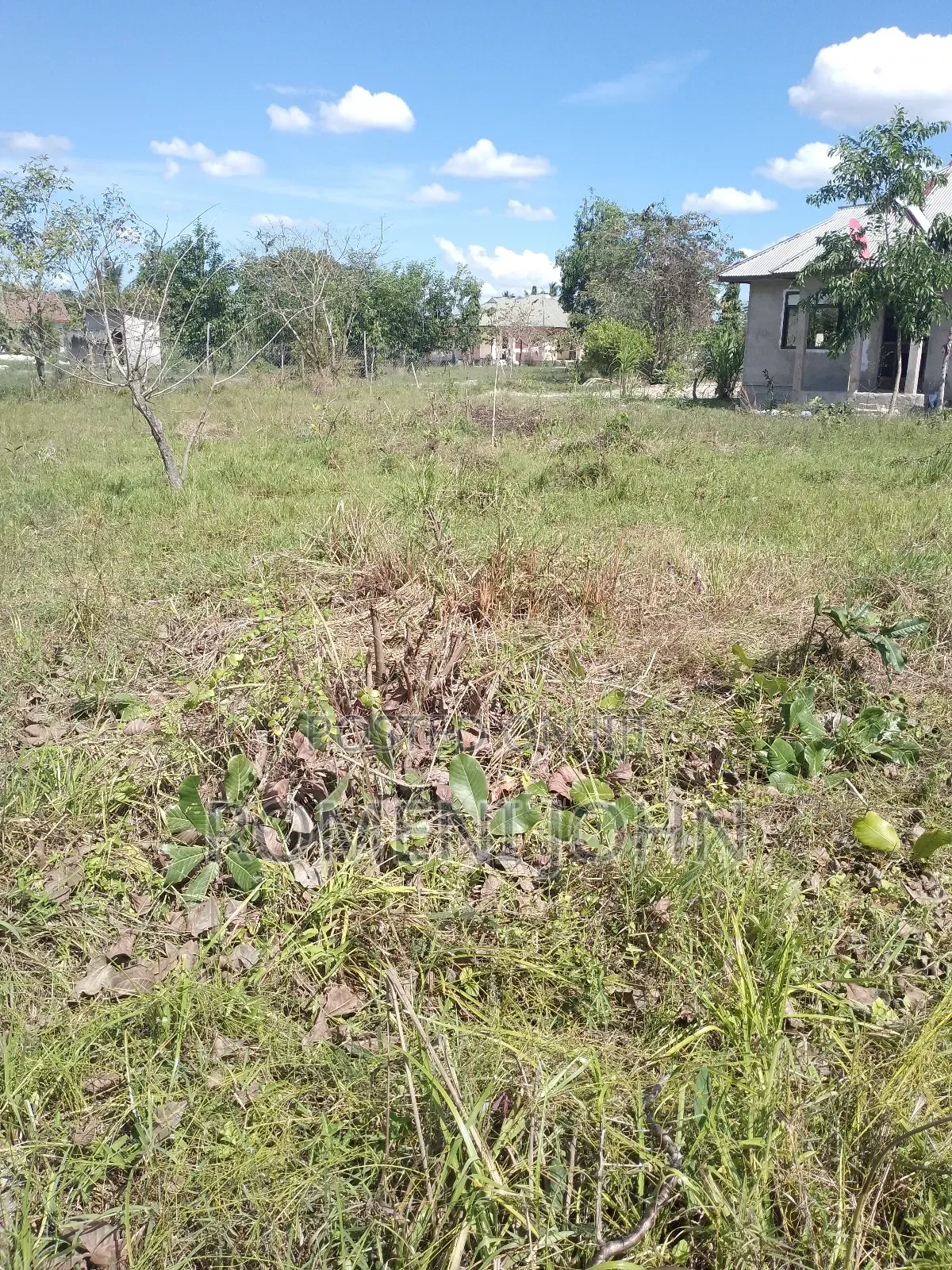 Kiwanja Sqmita 400 Kinauzwa Milioni 6.5 Majohe Viwege.
