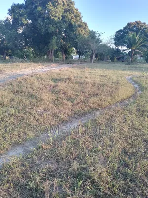 Viwanja Vya Mita 13/13 Vinauzwa Ml 3 Bombambili Njia Nne.