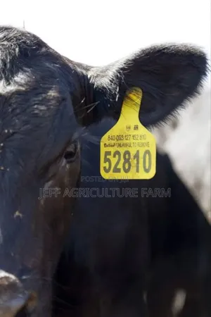 Ear Tag New Modelsuper