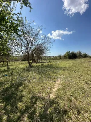 Land for Sale Madale Mivumoni