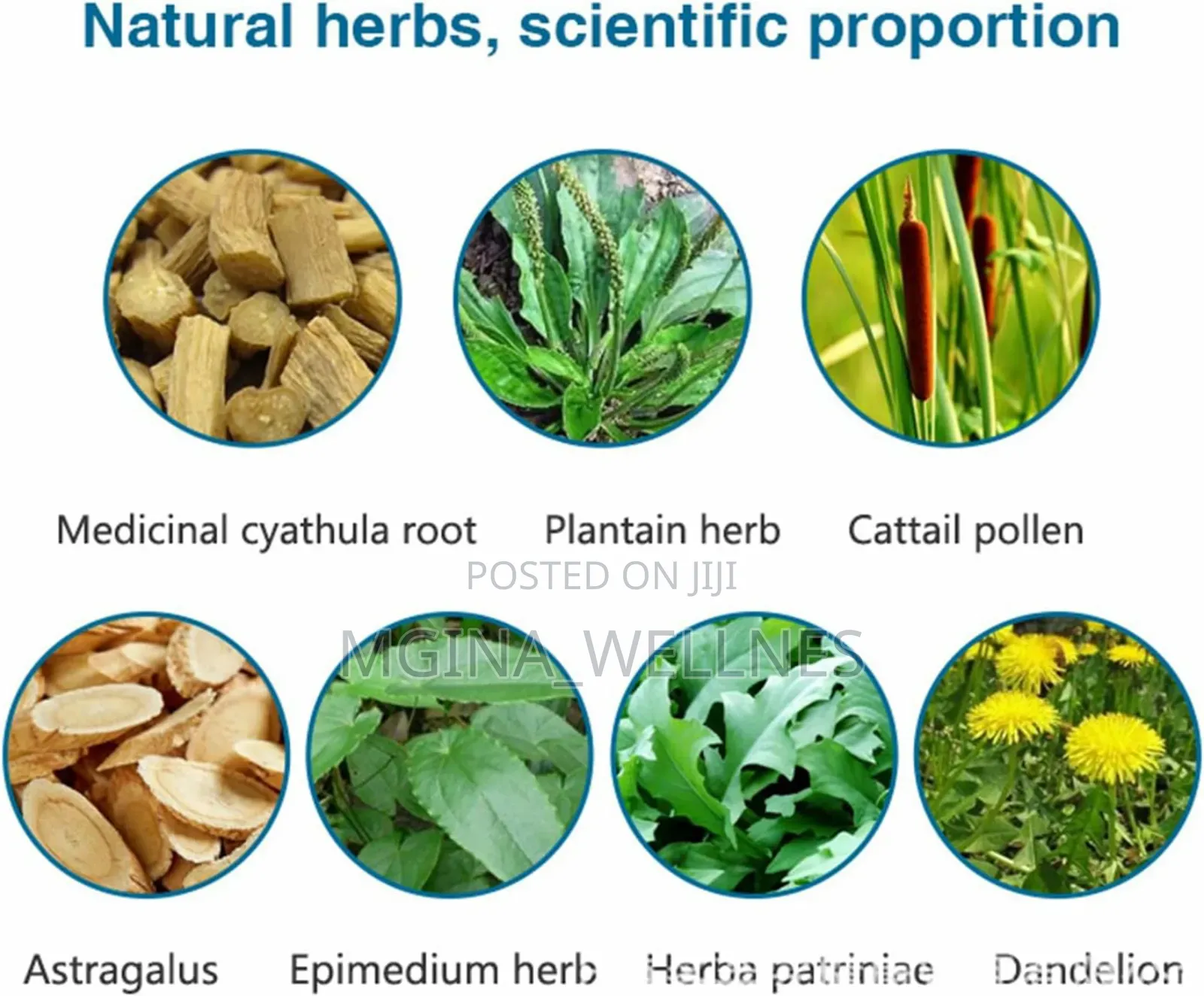 Herbal Tea Prostate Health