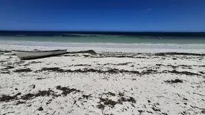 Beach Plot for Sale at Pongwe Zanzibar