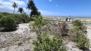 Beach Plot for Sale at Pongwe Zanzibar