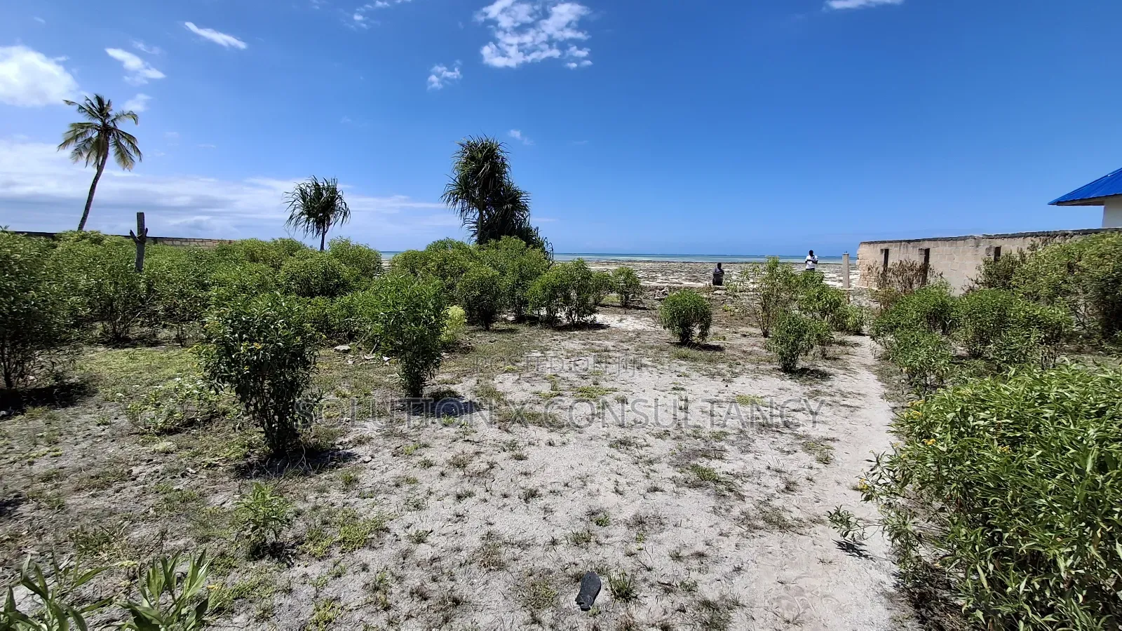 Beach Plot for Sale at Pongwe Zanzibar