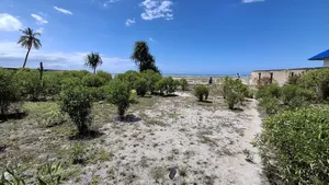 Beach Plot for Sale at Pongwe Zanzibar