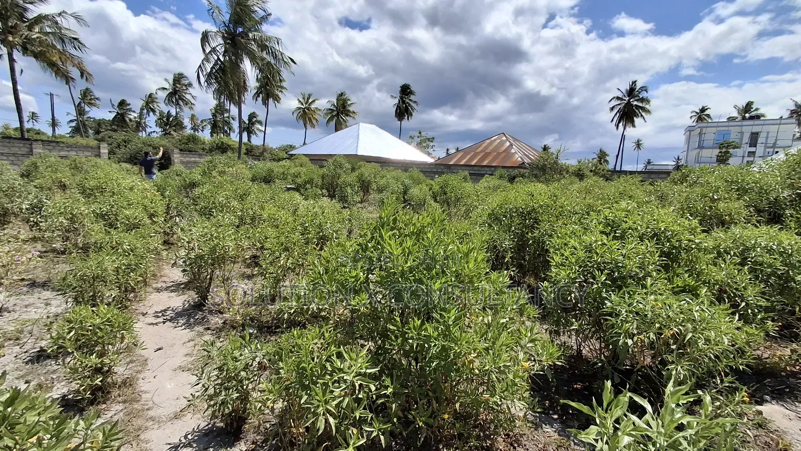 Beach Plot for Sale at Pongwe Zanzibar