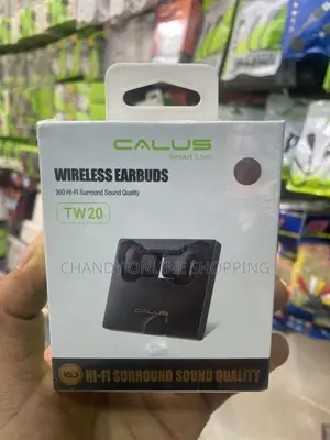 TW20 Wireless Earbuds